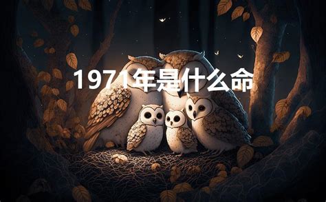 1971属什么